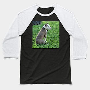 Chachi Baseball T-Shirt